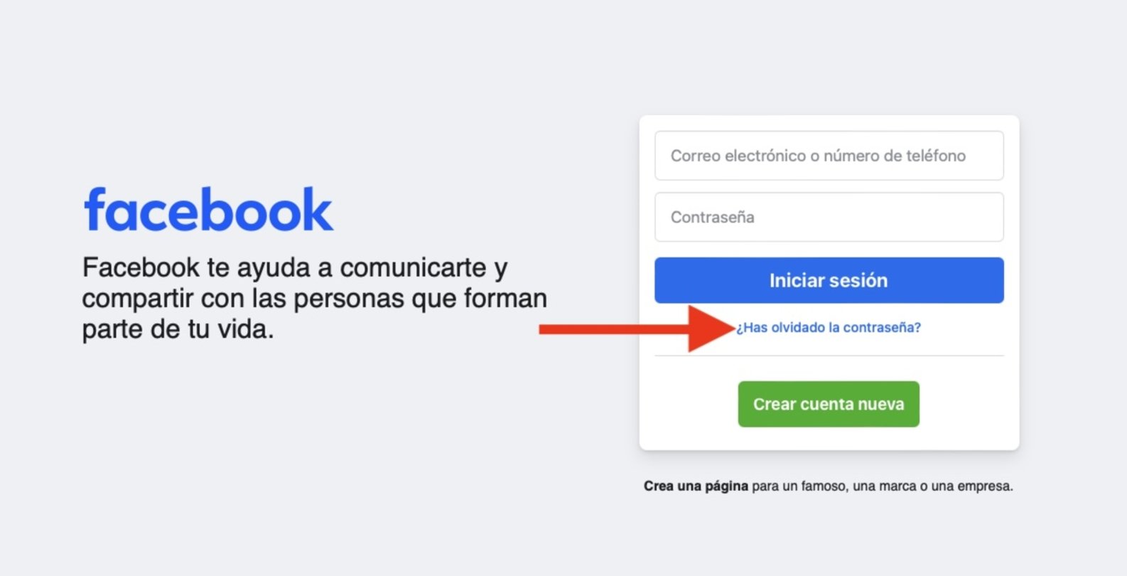 How to recover Facebook password step by step